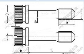 GB/T 839-1988 滚花头不脱出螺钉